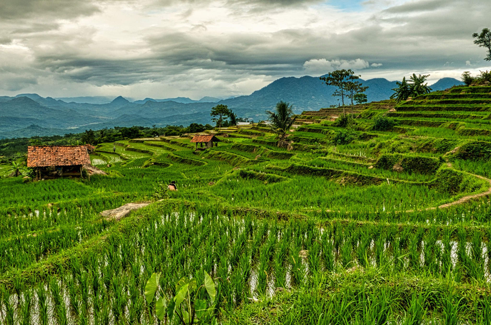 Ubud