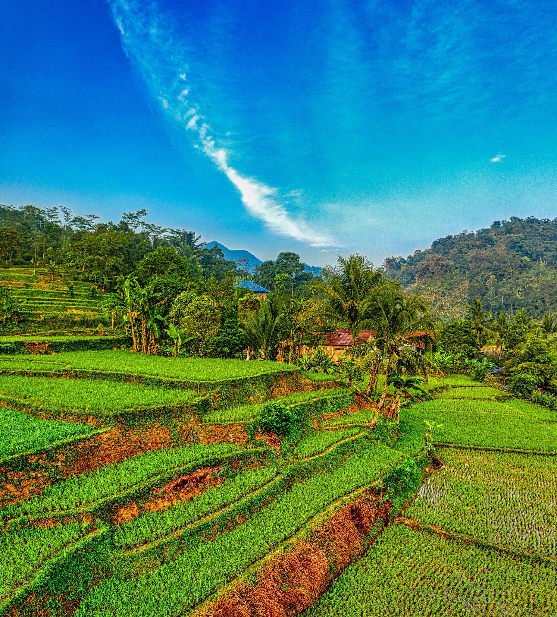 Lombok
