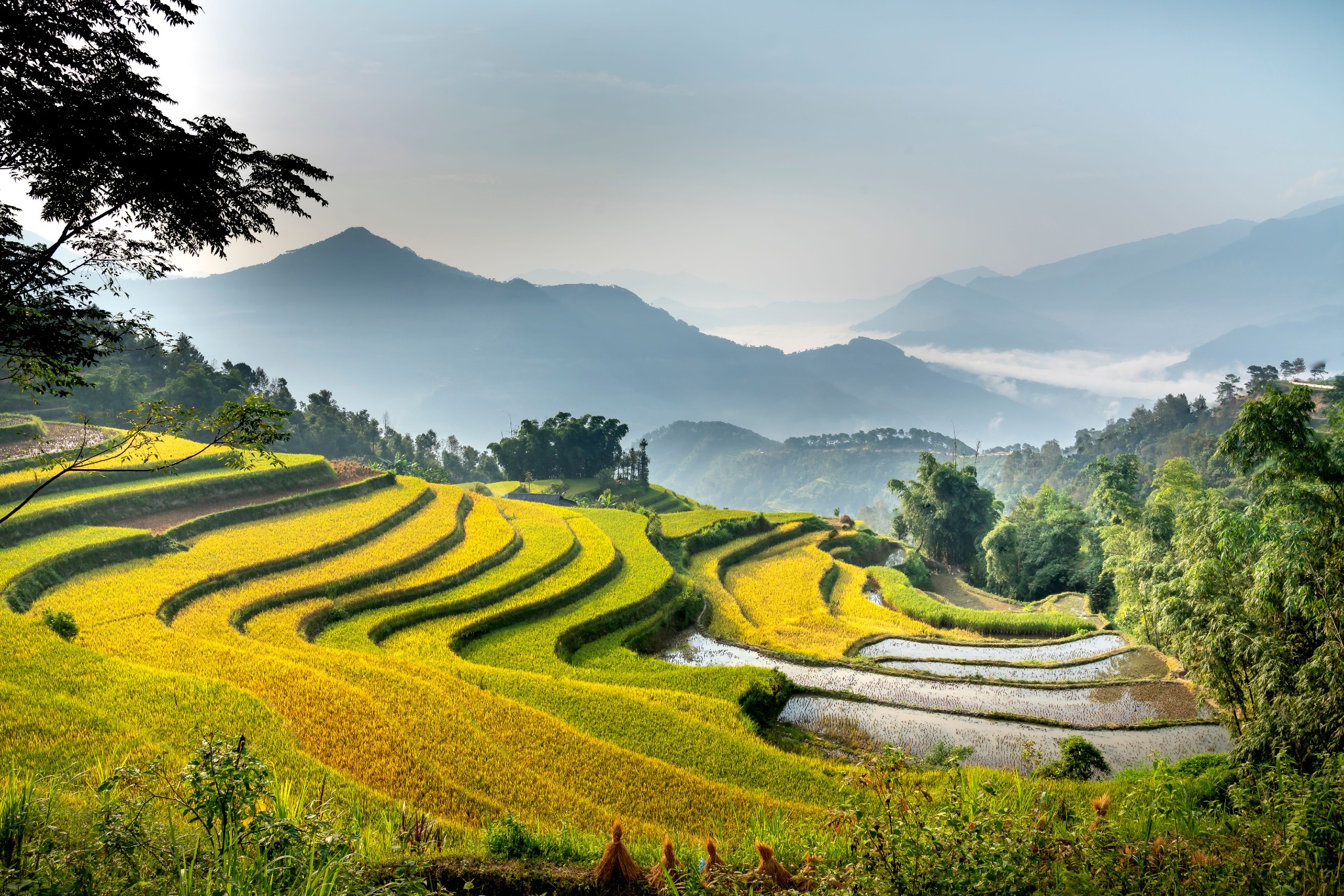 Hanoi